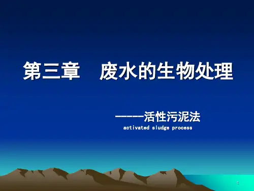 活性污泥法处理废水ppt课件