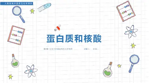 《生命中的基础有机化学物质-蛋白质和核酸》人教版高中选修五化学精品课件