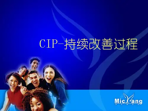 CIP-持续改善-学习资料