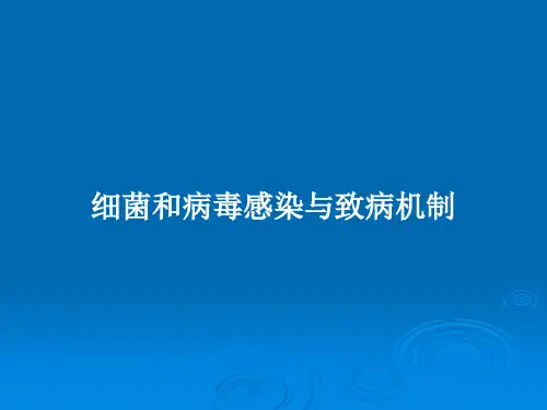 细菌和病毒感染与致病机制PPT教案