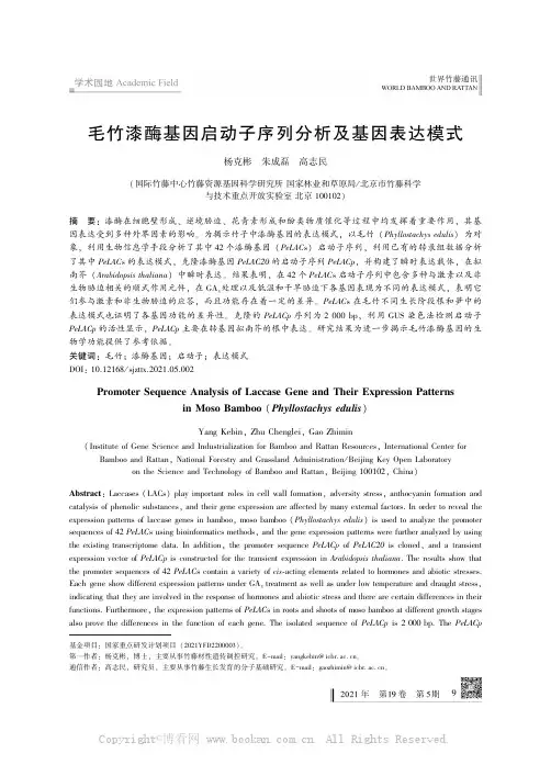 毛竹漆酶基因启动子序列分析及基因表达模式