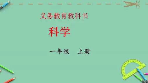 新版教科版一年级第一学期科学观察叶课件