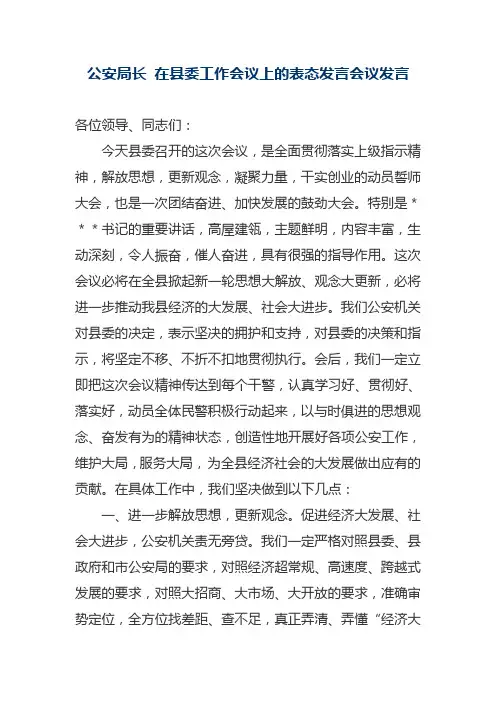公安局长 在县委工作会议上的表态发言会议发言