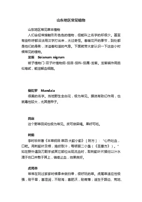 山东地区常见植物