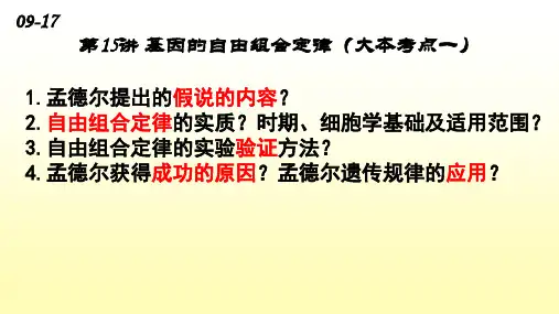 高中生物 基因的自由组合定律