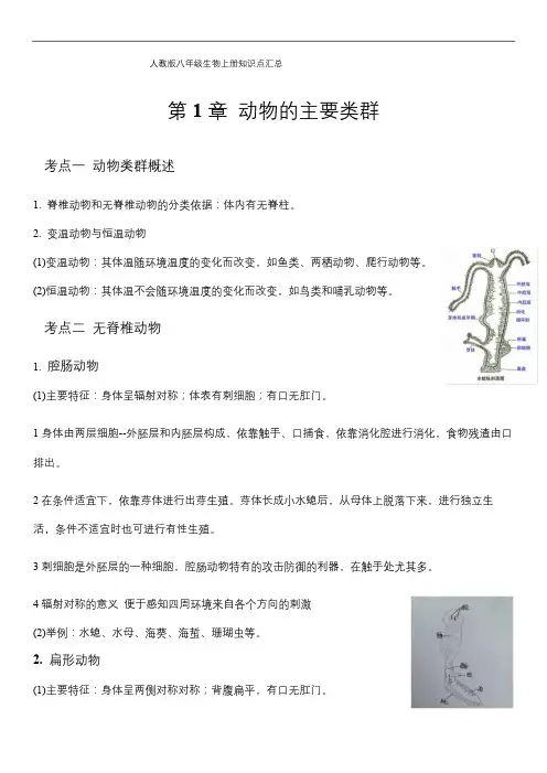 人教版八年级生物上册第五单元第一章动物的主要类群知识点总结
