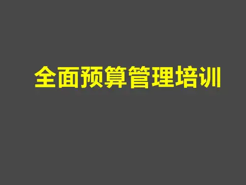 全面预算管理培训ppt