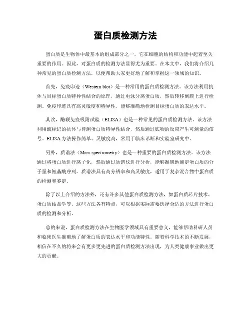 蛋白质检测方法