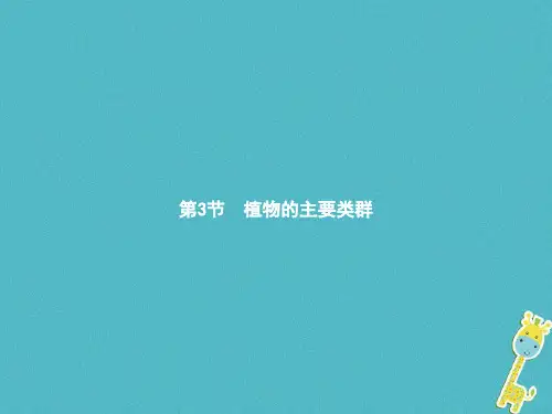 植物的主要类群课件(北师大版)