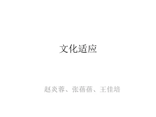 文化适应