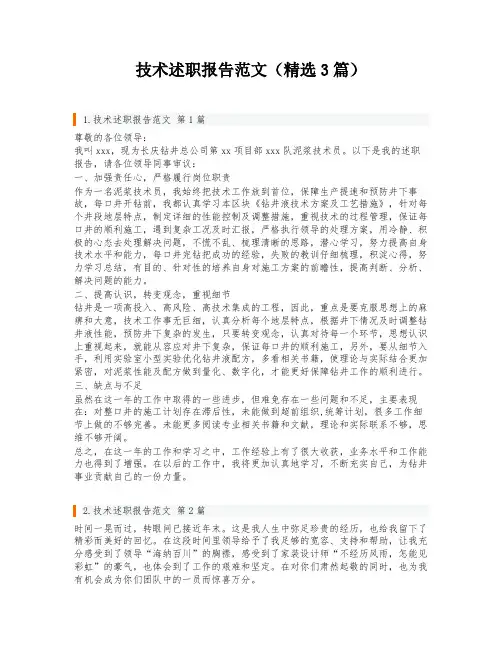 技术述职报告范文(精选3篇)