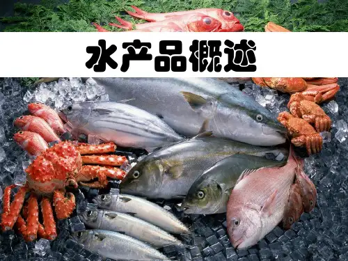 水产品概述(PPT33页)