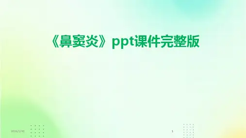 2024版《鼻窦炎》ppt课件完整版