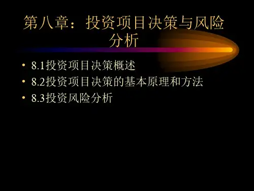 投资项目决策与风险分析精品PPT课件