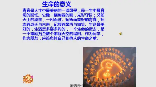 珍爱生命安全至上主题班会PPT课件