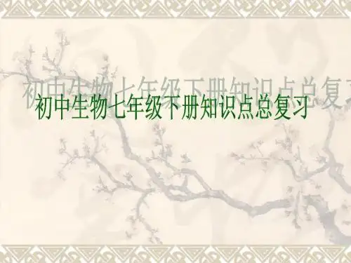 济南版初中生物七年级下册总复习课件(全一册、最全、最细、最实用)