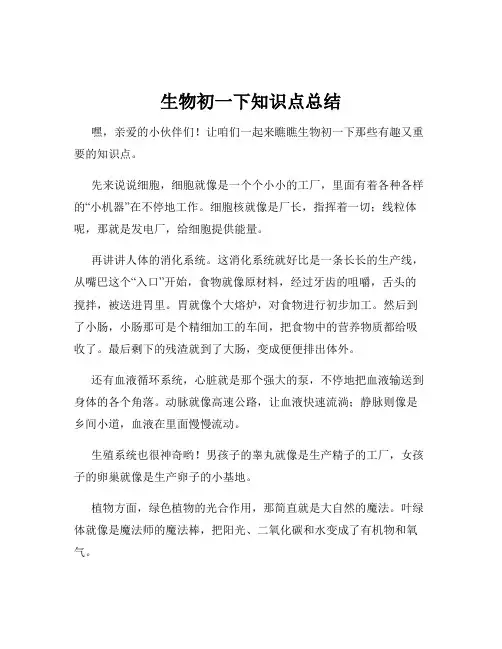 生物初一下知识点总结