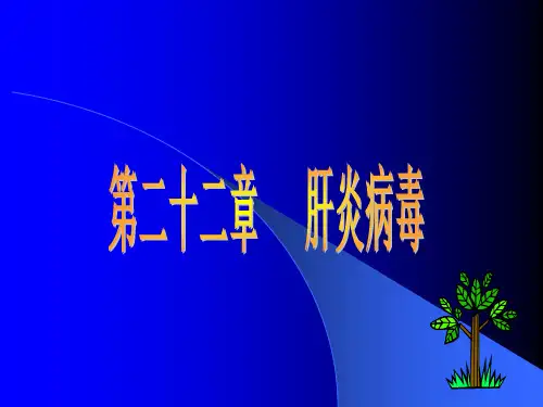肝炎病毒—医学微生物学