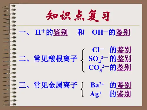 溶液中常见离子的鉴定ppt课件