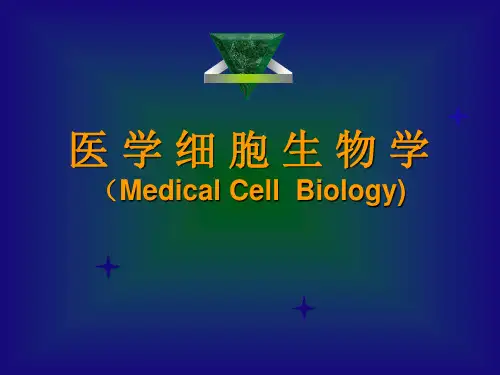 医学-细胞生物学线粒体