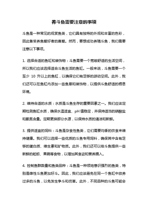养斗鱼需要注意的事项