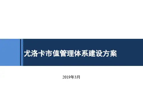 尤洛卡市值管理的项目建议书