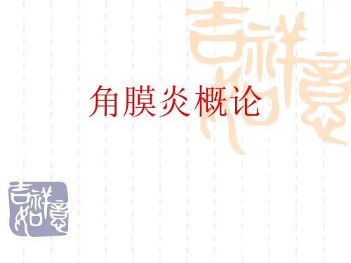 角膜炎概论