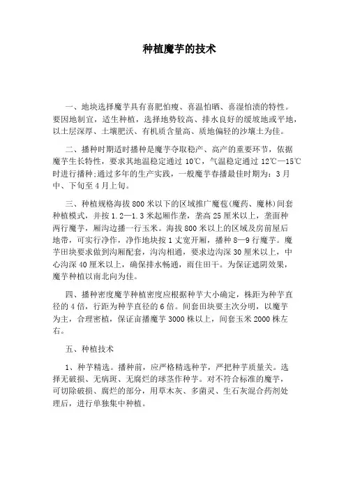 种植魔芋的技术