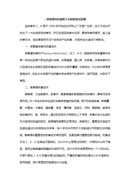 一些除草剂在烟草上引起的常见药害