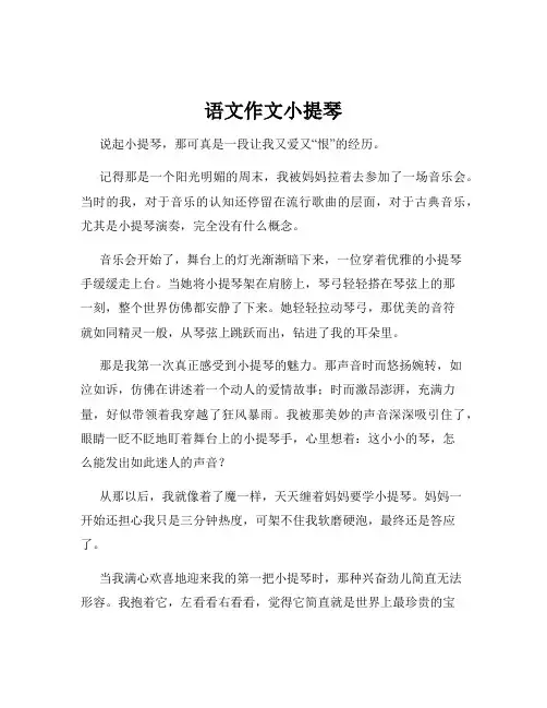 语文作文小提琴