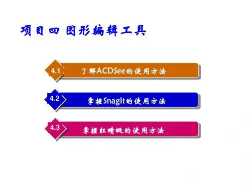常用工具软件项目教程项目4 图形编辑工具