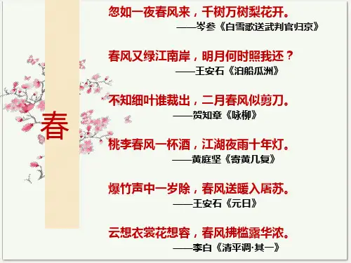 《春江花月夜》课件.pptx