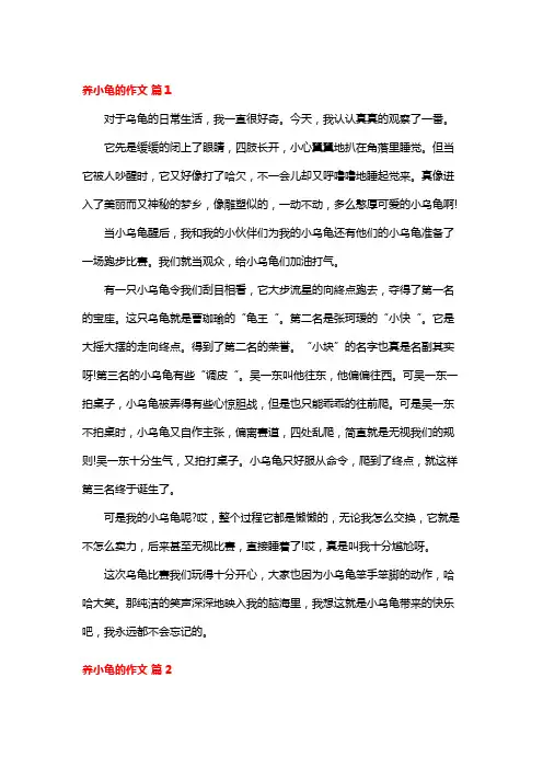 养小龟的作文