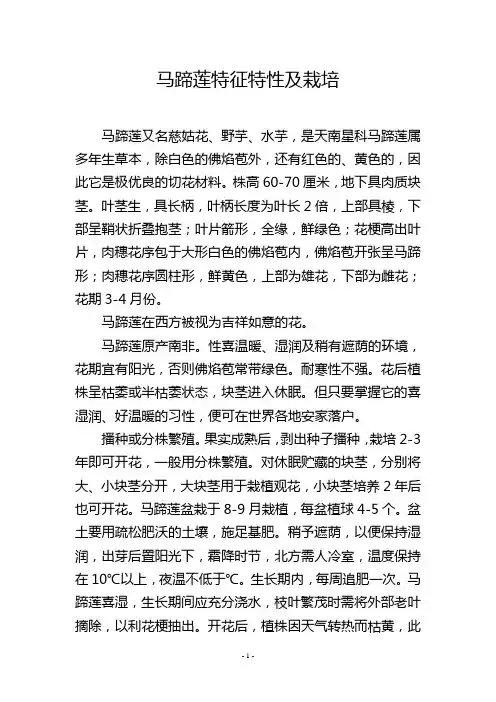 马蹄莲特征特性及栽培