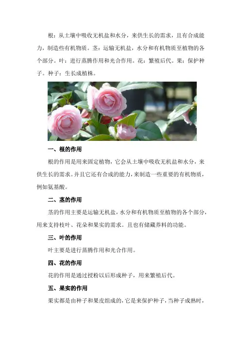 植物六大器官的作用
