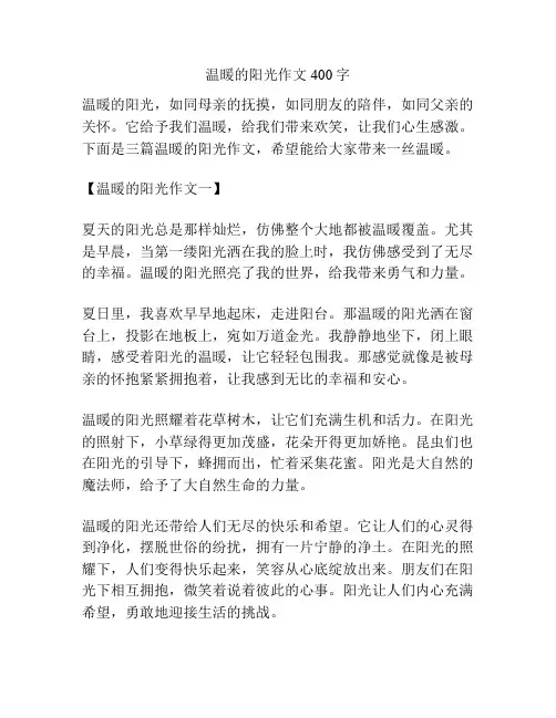 温暖的阳光作文400字