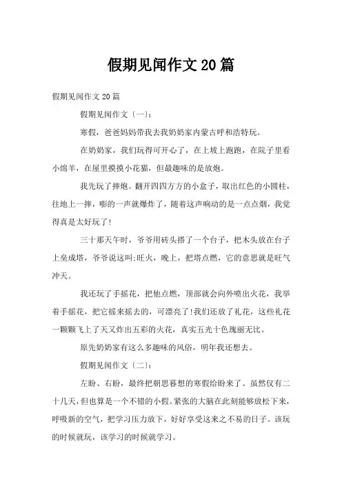 假期见闻作文20篇