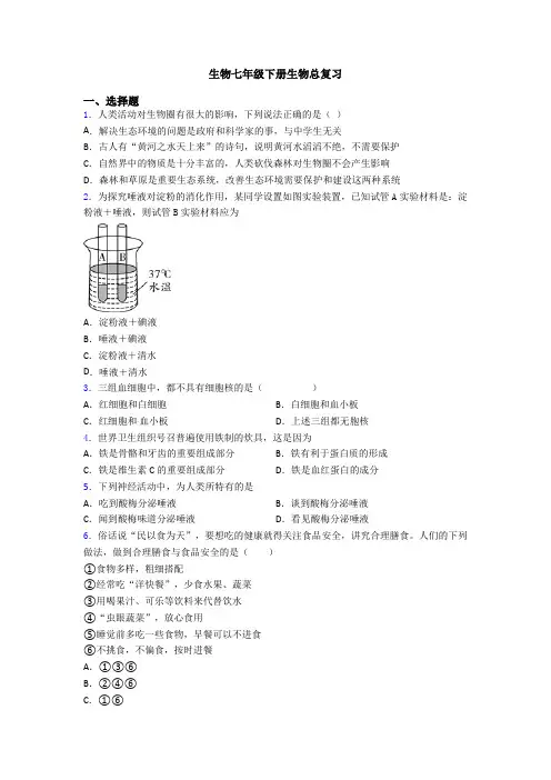 生物七年级下册生物总复习