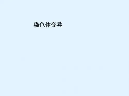 最新2015届高考生物一轮详细复习 染色体变异(考点透析+典例跟踪详解+实验导航大题专训)课件 新人教版