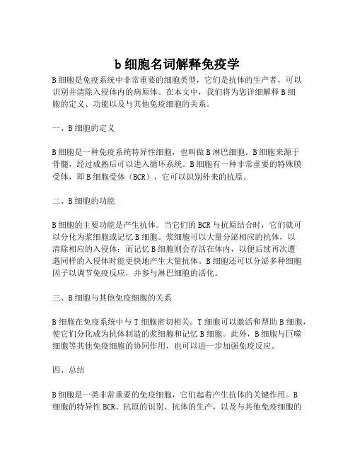 b细胞名词解释免疫学