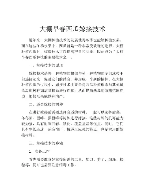 大棚早春西瓜嫁接技术