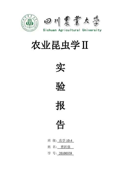 水稻 玉米害虫田间调查与识别