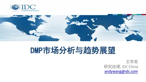 DMP市场分析与趋势展望—IDC