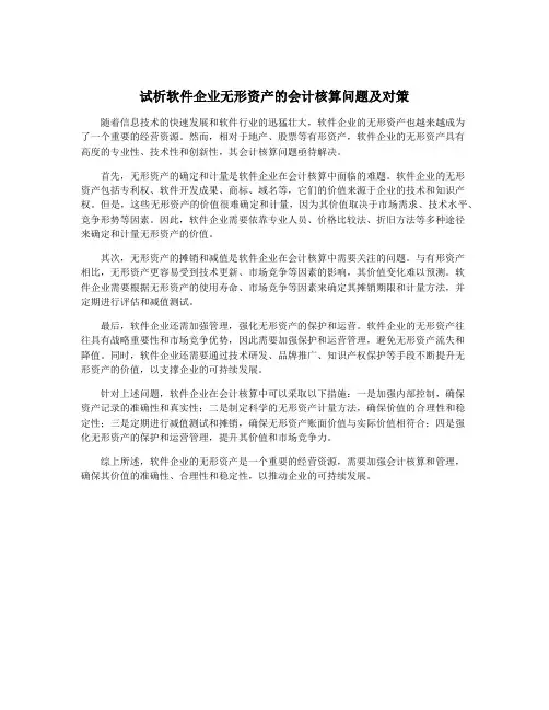 试析软件企业无形资产的会计核算问题及对策