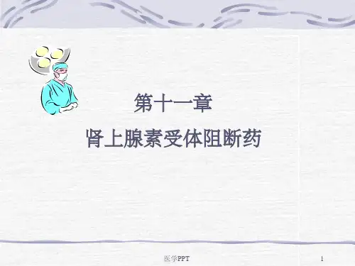 《抗肾上腺素药》PPT课件
