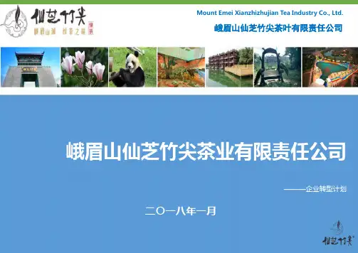 企业转型计划PPT幻灯片