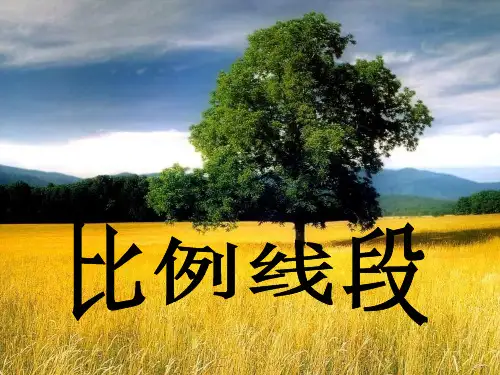1比例线段PPT课件(北京课改版)