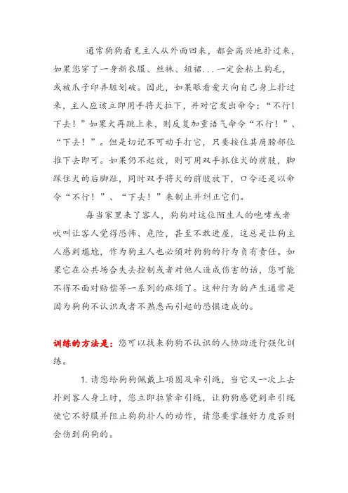 狗狗老往人身上扑怎么办？