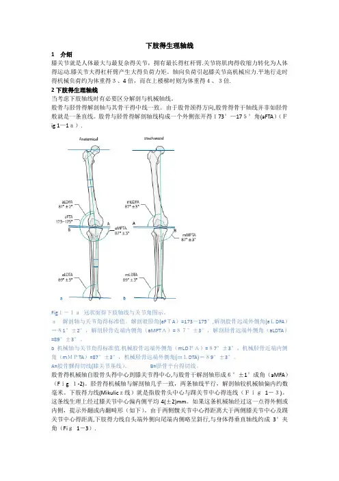 第1章-下肢的生理轴线