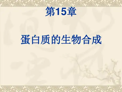 生物化学第15章 蛋白质的生物合成